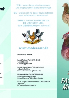 2000 Folder 6 Seiten Din lang Faszination Modeneser 135 g Bilderdruck1 Kopie